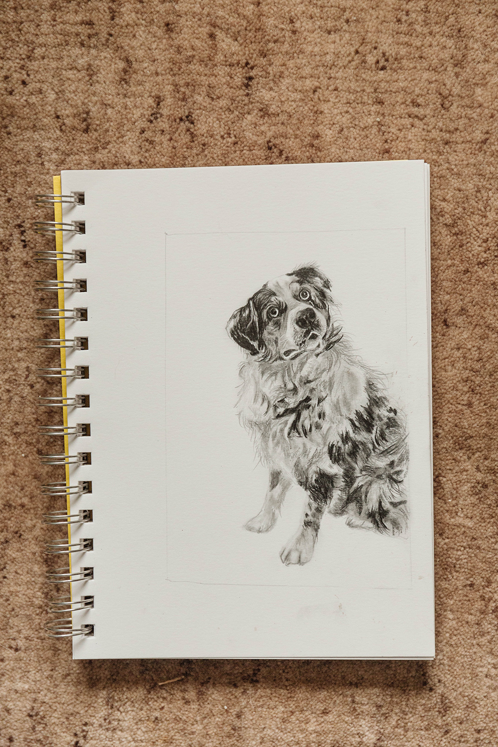 Custom Hand-Drawn Miniature Pet Portraits